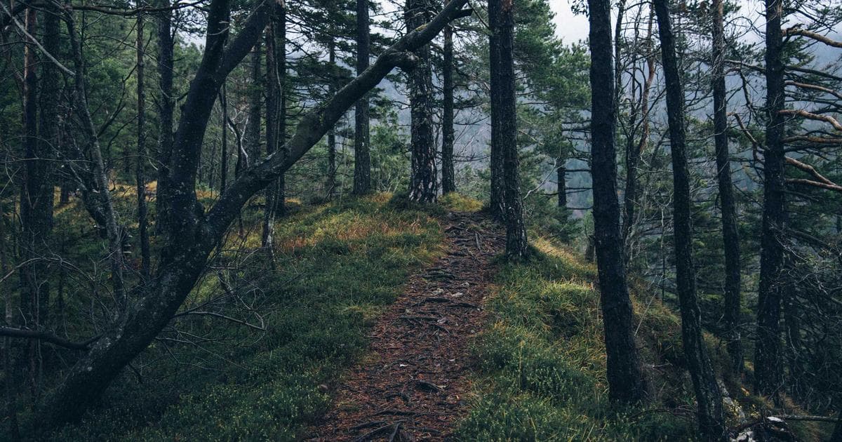 Best Time to Visit Aourir: A Month-by-Month Breakdown